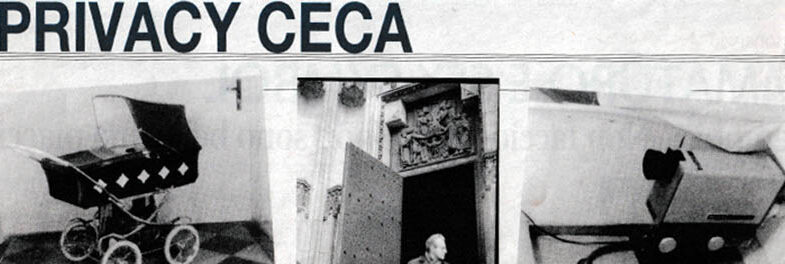 I paparazzi del regime sulle tracce dei dissidenti